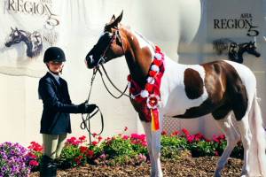 Lake Stevens girl finishes in Top 10 at Arab horse competition