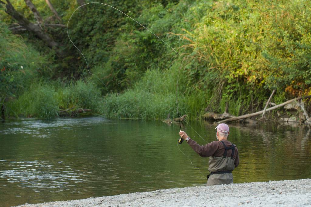 Chuck Morrison of Marysville casts for sea-run cutthroat along the Stillaguamish River in Silvana. (Mike Benbow photo)