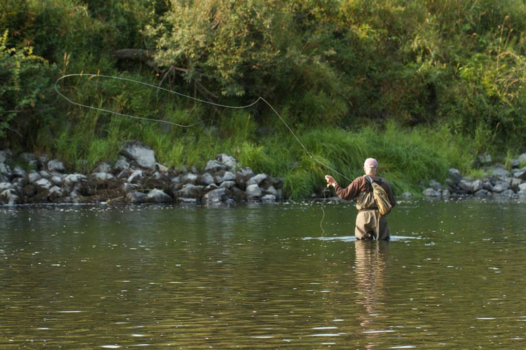 Cutthroat trout returning to Stillaguamish in the fall can often be found along rip-rap, sunken logs, boulders, and other cover. (Mike Benbow photo)