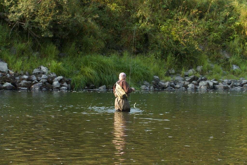 Chuck Morrison of Marysville gets ready to release a cutthroat in the Stillaguamish River. Trout of less than 14 inches in length must be released. (Mike Benbow photo)