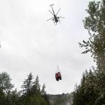 A helicopter picks up a pair of mountain goats in crates from the Mountain Loop Highway bridge. The goats came from Olympic National Park. (Olivia Vanni / The Herald)