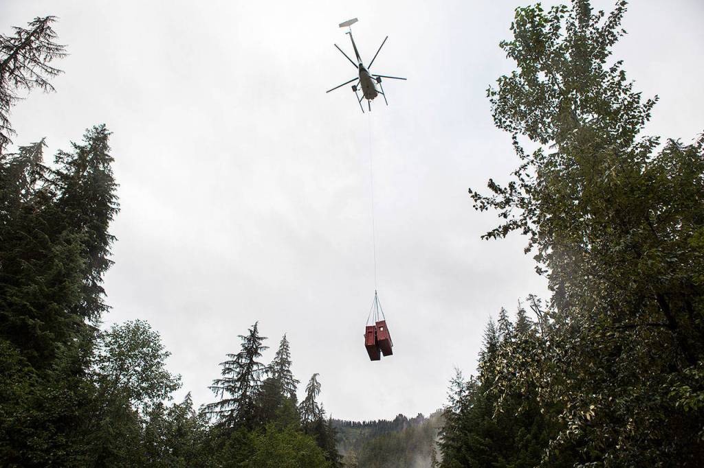 A helicopter picks up a pair of mountain goats in crates from the Mountain Loop Highway bridge. The goats came from Olympic National Park. (Olivia Vanni / The Herald)