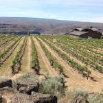 Washington’s Ancient Lakes region is home to renowned wines