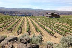 Washington’s Ancient Lakes region is home to renowned wines