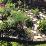 Rebecca Chadbands landscape won an Evergreen Award for best maintained yard. (Kevin Clark / The Herald)