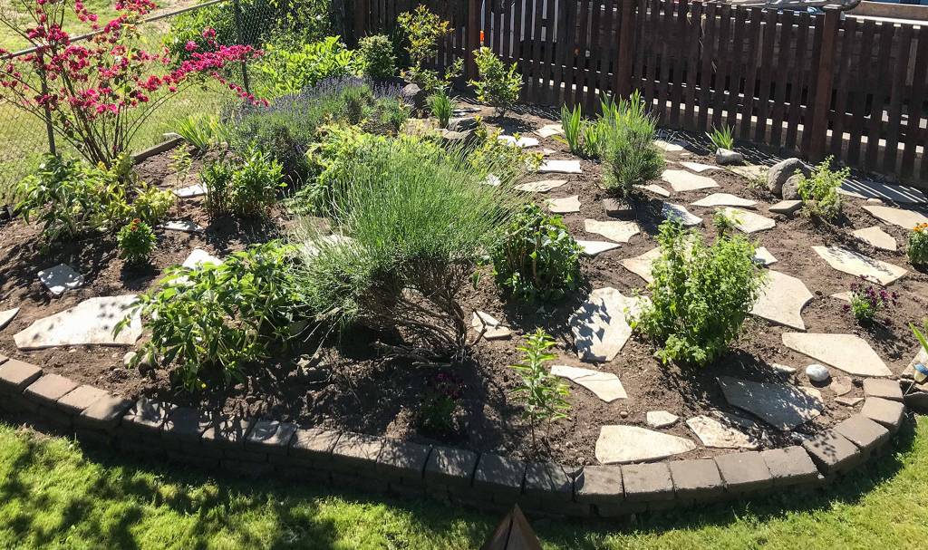 Rebecca Chadbands landscape won an Evergreen Award for best maintained yard. (Kevin Clark / The Herald)