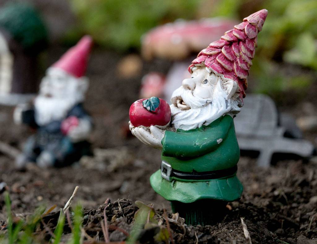 A fairy garden decorates Rebecca Chadbands landscape which won an Evergreen Award for best maintained yard. Beatrice, 5, made the fairy garden. (Kevin Clark / The Herald)