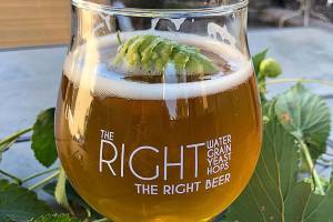 Drink this: Embrace this fresh hop ale made in Marysville