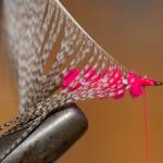 Pull off and discard fibers on one side of a mallard feather. Tie feather in at tip behind the hook eye. (Mike Benbow photo)