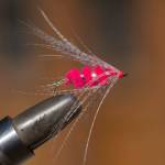 Take three wraps of feather around hook shank, pulling fibers back as you go. Secure wrapped feather and cut waste. Wrap thread to create head and secure with whip finish tool or add three half hitches. Finish with head cement. (Mike Benbow photo)