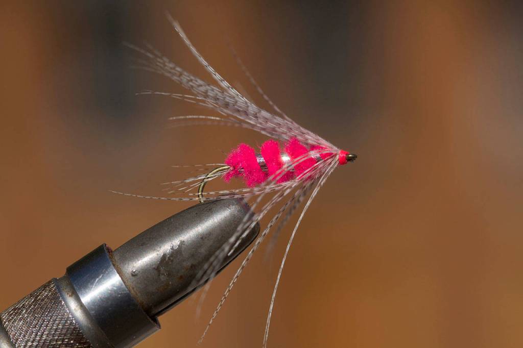 Take three wraps of feather around hook shank, pulling fibers back as you go. Secure wrapped feather and cut waste. Wrap thread to create head and secure with whip finish tool or add three half hitches. Finish with head cement. (Mike Benbow photo)