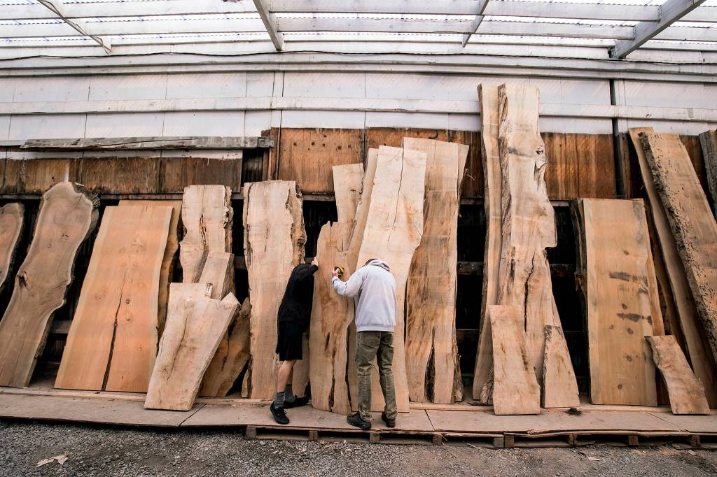 Kyle Sullivan (left) and his father, Scott, look at the back of a wood slab at Stormo Hardwoods on Sept. 24 in Everett. The two were looking through the inventory to make tables from live edge kiln-dried tree slabs. (Andy Bronson / The Herald)