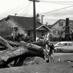 The storm killed at least 46 people, including a man working at a dam on the Sultan River. (Herald File)