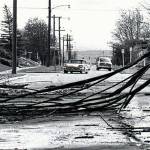 A tree limb blocks a street in Everett after the 1962 Columbus Day Storm. At least 46 people died in the storm, which began as Typhoon Freda in the Pacific Ocean. (Herald File)
