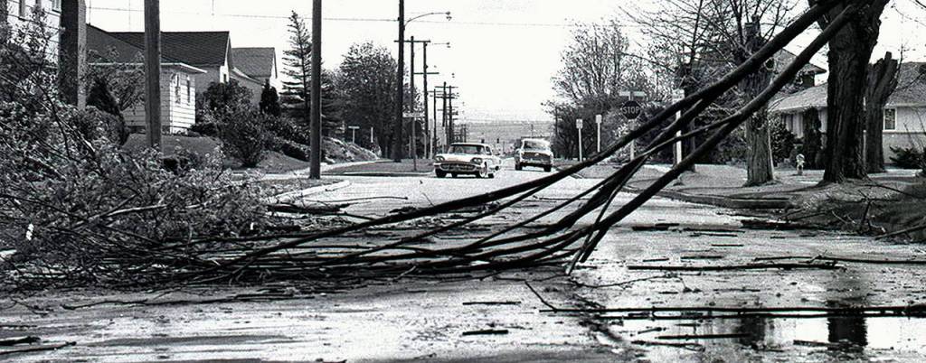 A tree limb blocks a street in Everett after the 1962 Columbus Day Storm. At least 46 people died in the storm, which began as Typhoon Freda in the Pacific Ocean. (Herald File)
