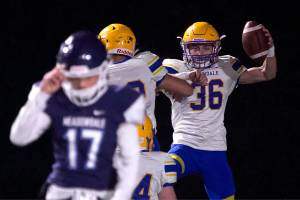 Ferndales Jaden Brown (right) celebrates a touchdown after a fumble by Meadowdales Carlos Walsh on Friday at Edmonds Stadium. (KevinClark / The Herald)