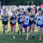 Runners compete in the 3A Northwest District Girls Cross Country Championships on Oct. 27, 2018, at South Whidbey High School in Langley. (Kevin Clark / The Herald)