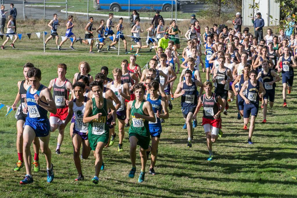 Runners compete in the 3A Northwest District Boys Cross Country Championships on Oct. 27, 2018, at South Whidbey High School in Langley. (Kevin Clark / The Herald)