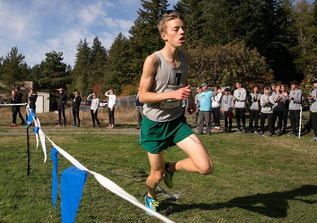 Jackson senior Joseph Skoog races to a first-place finish at the 4A Northwest District Boys Cross Country Championship on Oct. 27, 2018, at South Whidbey High School in Langley. (Kevin Clark / The Herald)