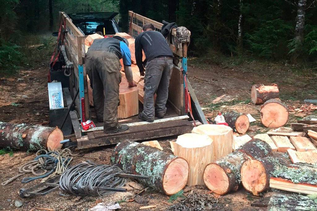 People load timber rounds that were illegally felled off the Mountain Loop Highway on state land east of Granite Falls. The firewood was delivered to area food banks. (Washington State Department of Natural Resources)