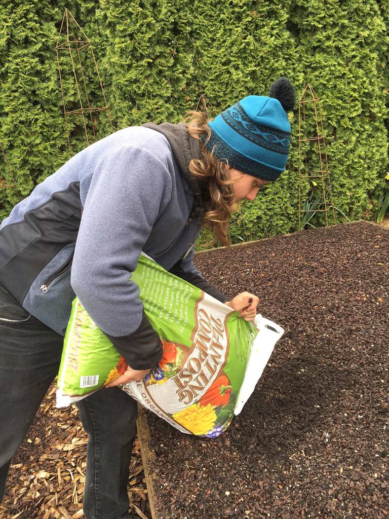 Spread one inch of fresh compost over veggie beds to protect it from invading winter weeds, such as chickweed or shot-weed. (Sunnyside Nursery)