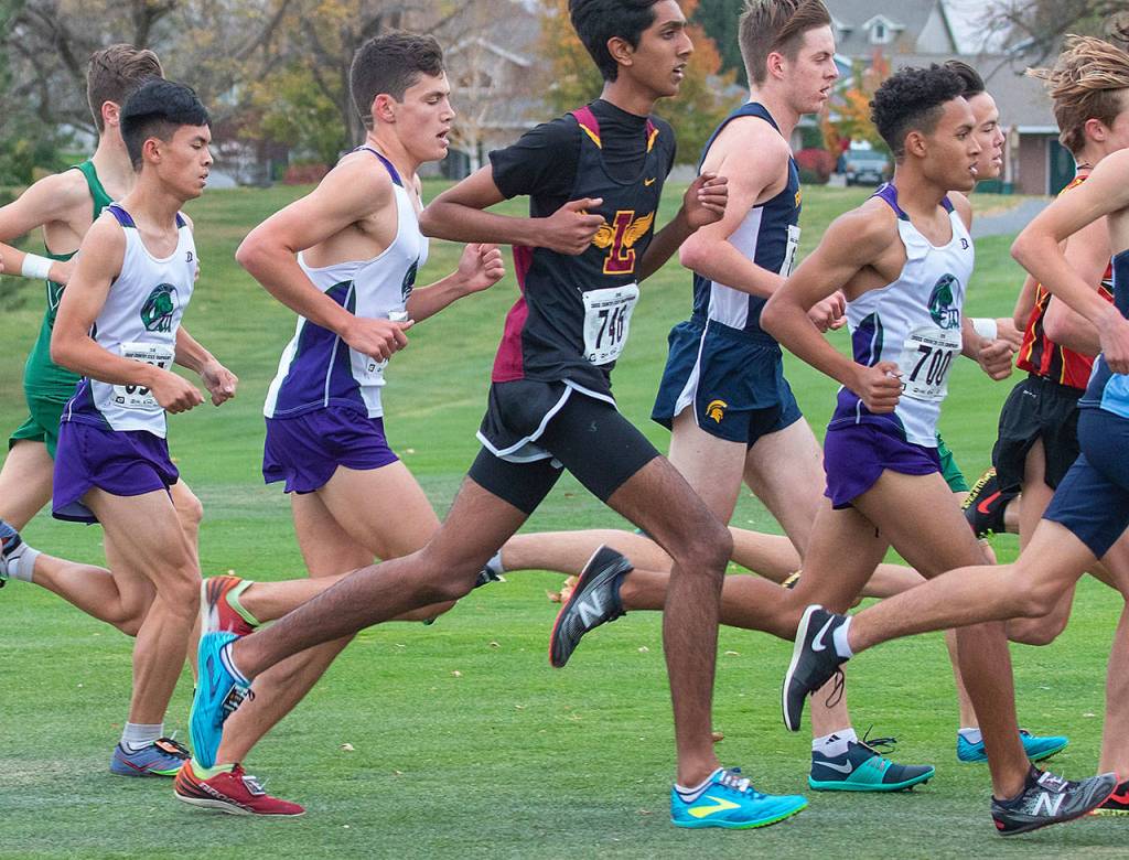 Several Edmonds-Woodway runners (in purple and white shorts and tank tops) compete in the 3A boys state cross country championship meet Saturday at Sun Willows Golf Course in Pasco. (TJ Mullinax / for The Herald)