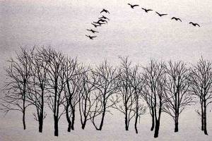 D.M. Windwalker Taibis Riding Autumn Wind is part of the Winter Trees exhibit at Raven Rocks Gallery on Whidbey Island.