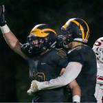 Panthers’ season ends with state tournament loss to Wolverines