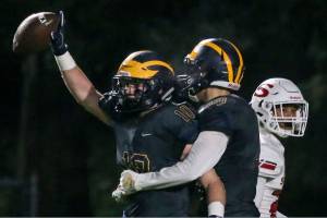 Panthers’ season ends with state tournament loss to Wolverines