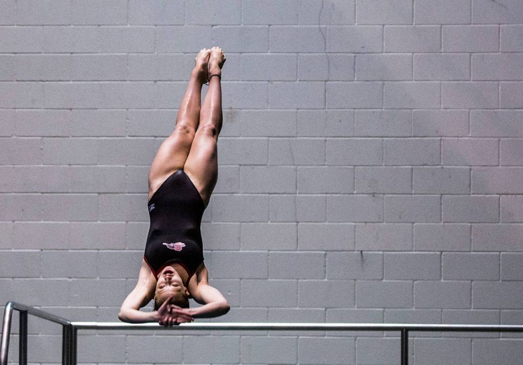 Snohomishs Kayli Koersavage dives during the 3A state swimming and diving championships on Nov. 10, 2018, in Federal Way. (Olivia Vanni / The Herald)