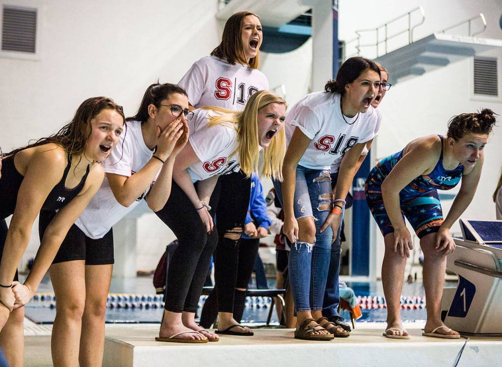 The Stanwood swim team cheers their teammate on during the 3A state swimming and diving championships on Nov. 10, 2018, in Federal Way. (Olivia Vanni / The Herald)