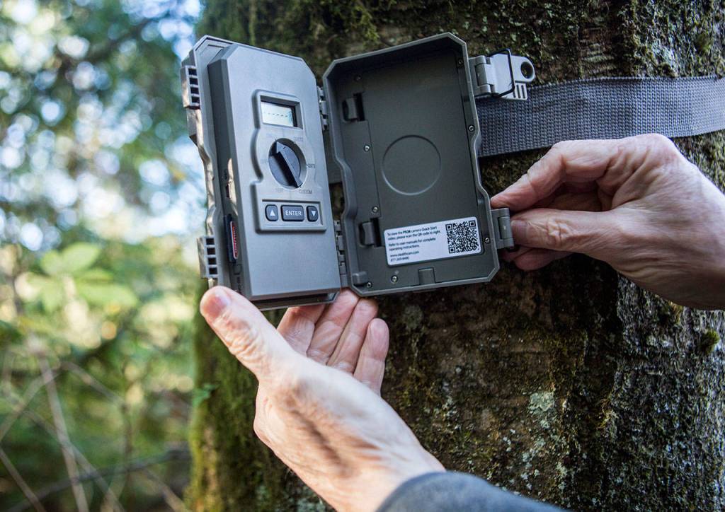 The inside of a wildlife camera at the Northwest Stream Center. (Olivia Vanni / The Herald)