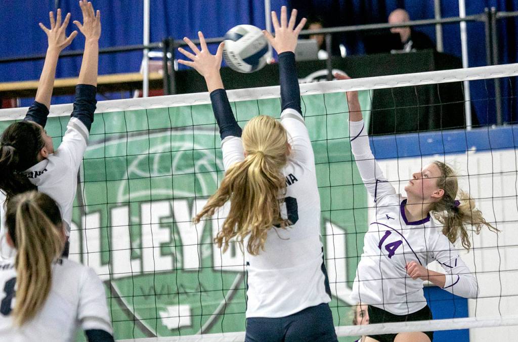 Lake Stevens Maddie Iseminger (14) spikes the ball past Chiawanas Yaneli Garcia (9) and Kylie Thorne (10) during a 4A state consolation match on Nov. 17, 2018, at the Yakima Valley SunDome in Yakima. (TJ Mullinax / For The Herald)