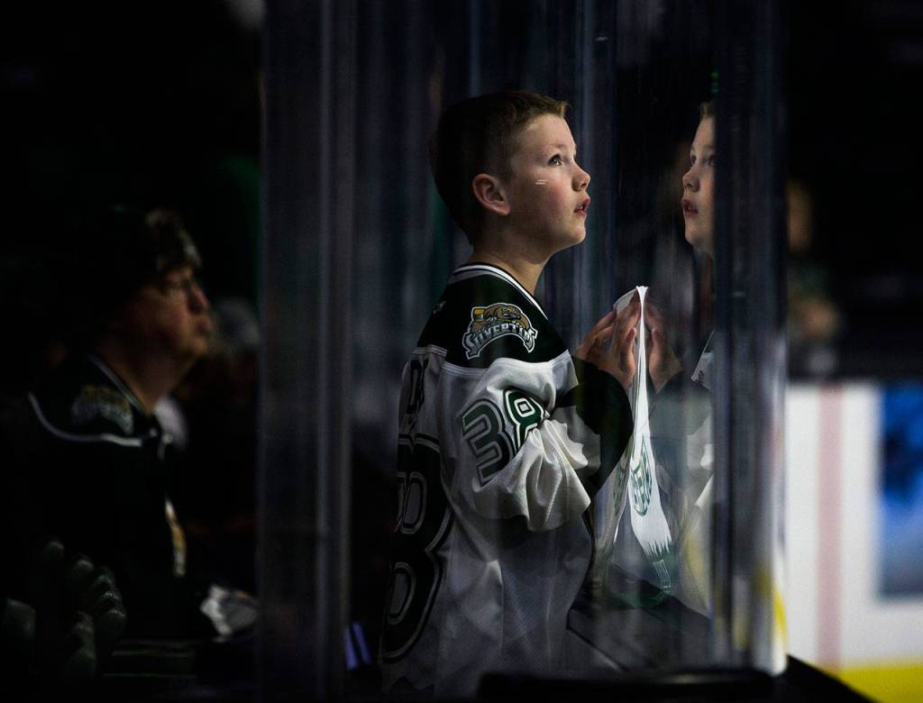 A young Silvertips fan looks up at the jumbotron before the Sunday game against the Spokane Chiefs in Everett. (Olivia Vanni / The Herald)