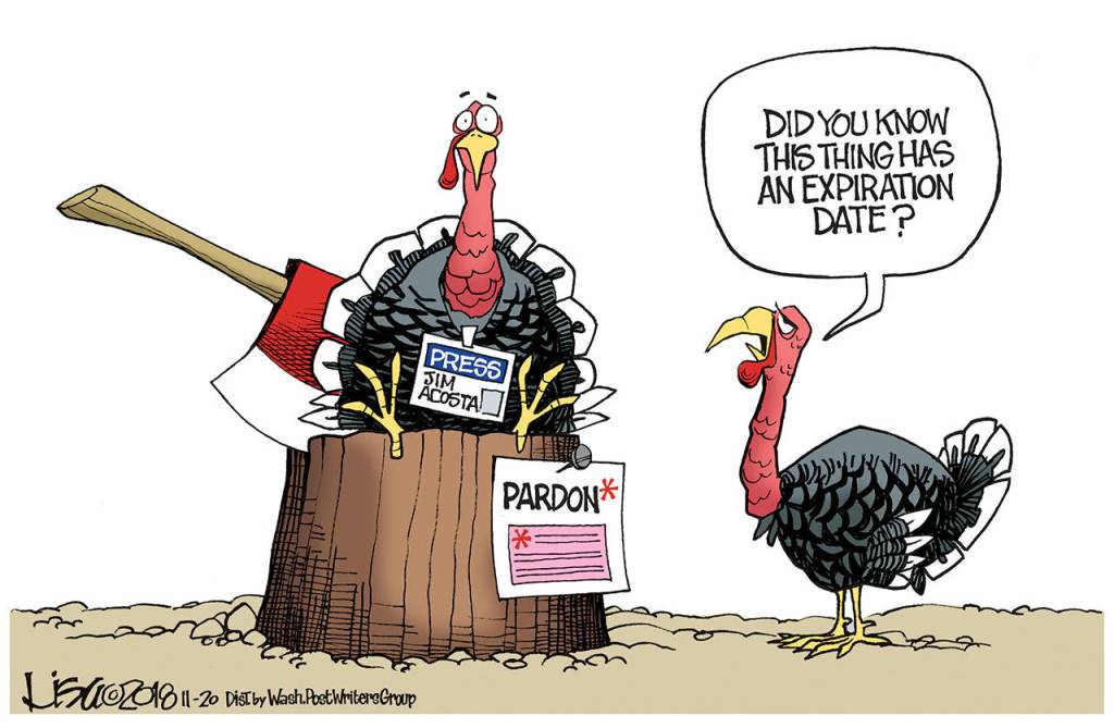 Editorial cartoons for Saturday, Nov. 24