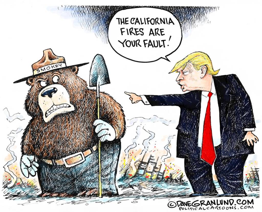 Editorial cartoons for Saturday, Nov. 24