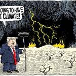 Editorial cartoons for Saturday, Nov. 24