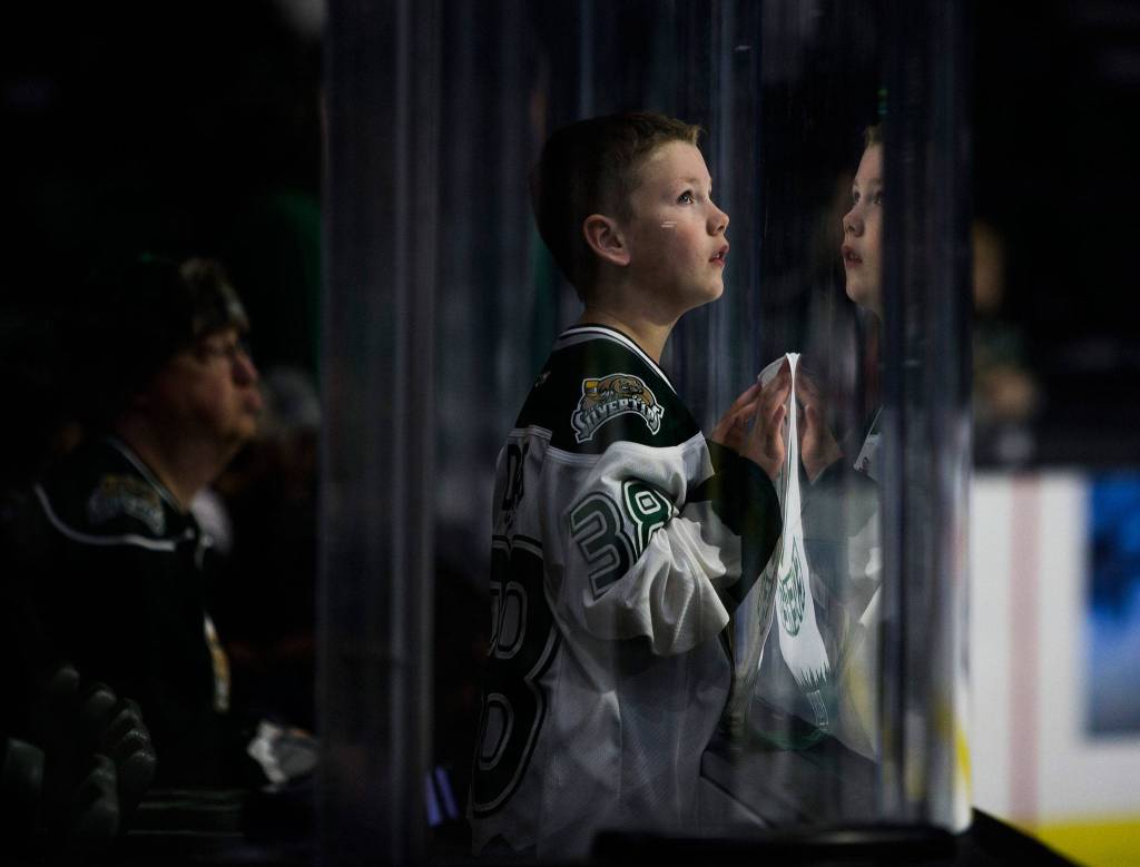 A young Silvertips fan looks up at the jumbotron before <a href="https://www.heraldnet.com/sports/silvertips-fall-in-overtime-to-spokane-chiefs-in-overtime/" target="_blank">the game against the Spokane Chiefs</a> on Nov. 18 in Everett. (Olivia Vanni / The Herald)