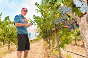 Red blends are among Washington’s most interesting wines