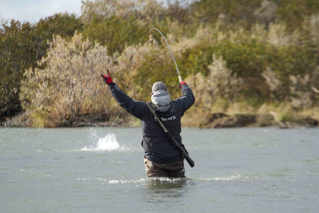 Guide Trevor Kovich celebrates hooking a steelhead on a dry fly on the Sandy River in Alaska. (Mike Benbow photo)