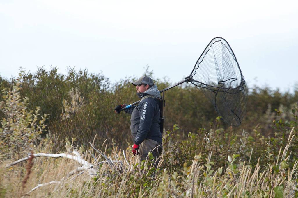 Carrying a shotgun on his back, guide Trevor Kovich keeps an eye out for bears while his clients fish on the Sandy River in Alaska. (Mike Benbow photo)