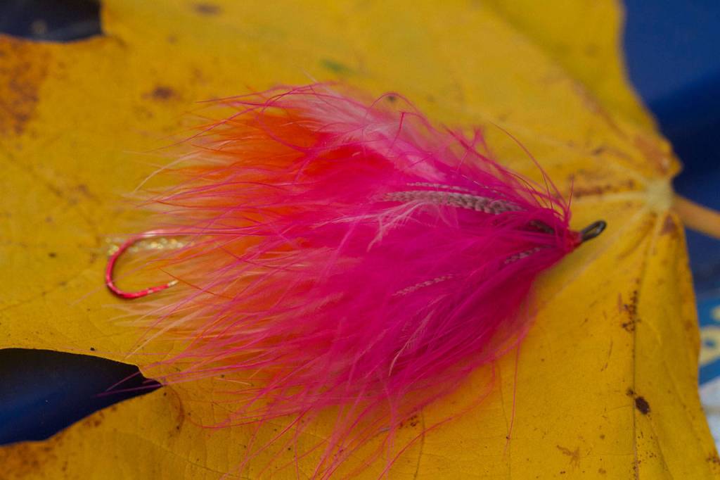 A brightly colored fly with a trailing hook is popular with anglers on the Sandy River. (Mike Benbow photo)