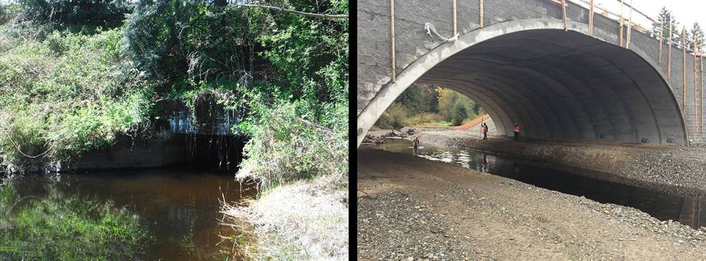 A 12-foot box culvert that impeded fish passage in Little Pilchuck Creek under Highway 92 was replaced this year with a 66-foot wide bridge, a $6 million project that is emblematic of the much bigger projects that lay ahead as the state works to meet a federal court injunction to fix barriers for migrating salmon. (WSDOT photos)
