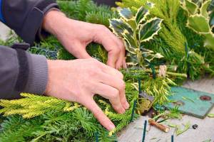 Wreath-making reconnects you to the garden this time of year