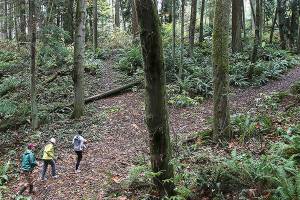 Neighbors band together to delay work on Frognal development