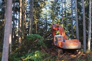 Workers began clearing month for the long-contested Frognal Estates development near Picnic Point. Neighbors and environmental groups oppose the 112-home subdivision, which they say poses risks to a salmon-bearing stream and could increase the chance of landslides. (Noah Haglund / Herald file)