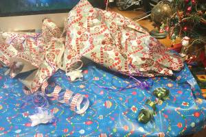 Arlington raises fees after China ban on ‘dirty’ recyclables