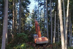 Judge reverses Frognal order, says logging can move ahead