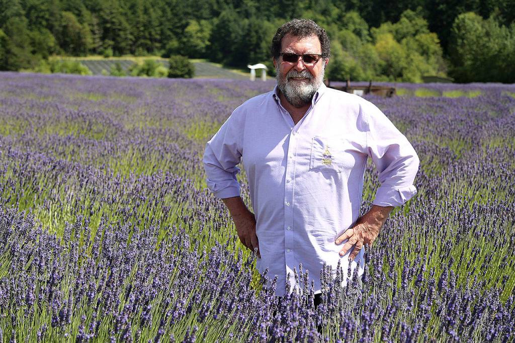 Pelindaba Lavender owner Stephen Robins, shown on his farm on San Juan Island, is scheduled to talk Feb. 15 as part of the winter speaker series. (Pelindaba Lavender)