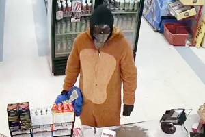 What animal is that? Costumed man robs Highway 530 store